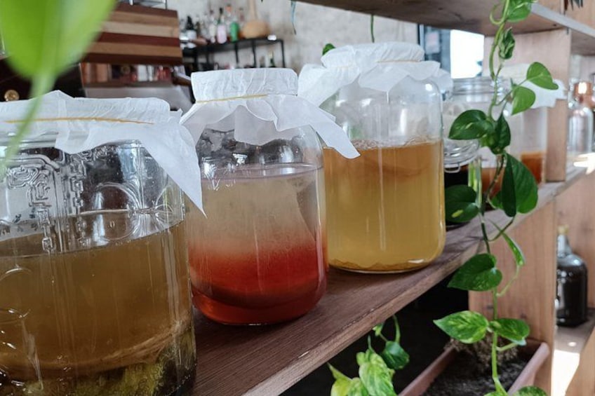 Kombucha Making Workshop in Cyprus 5