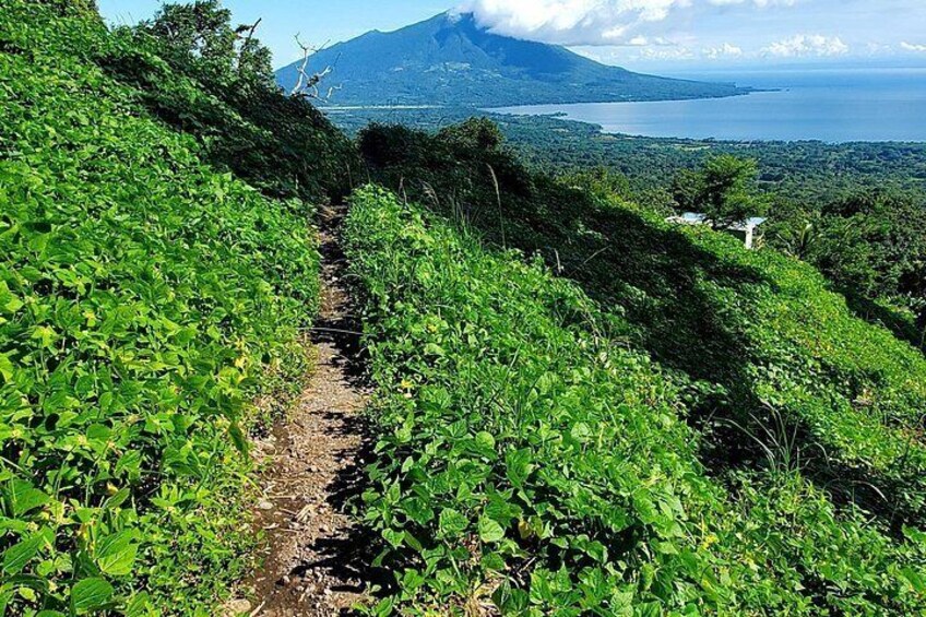 Ometepe trekking - Volcano Concepcion By Happy Tours 3