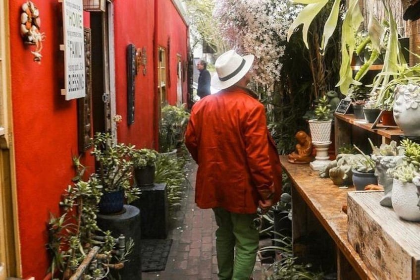 Wine Tasting and Walking Tour of Carmel-by-the-Sea 4