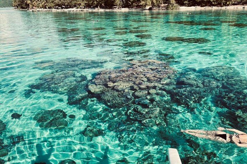 Clear turquoise water, a coral reef, and a boat. 3