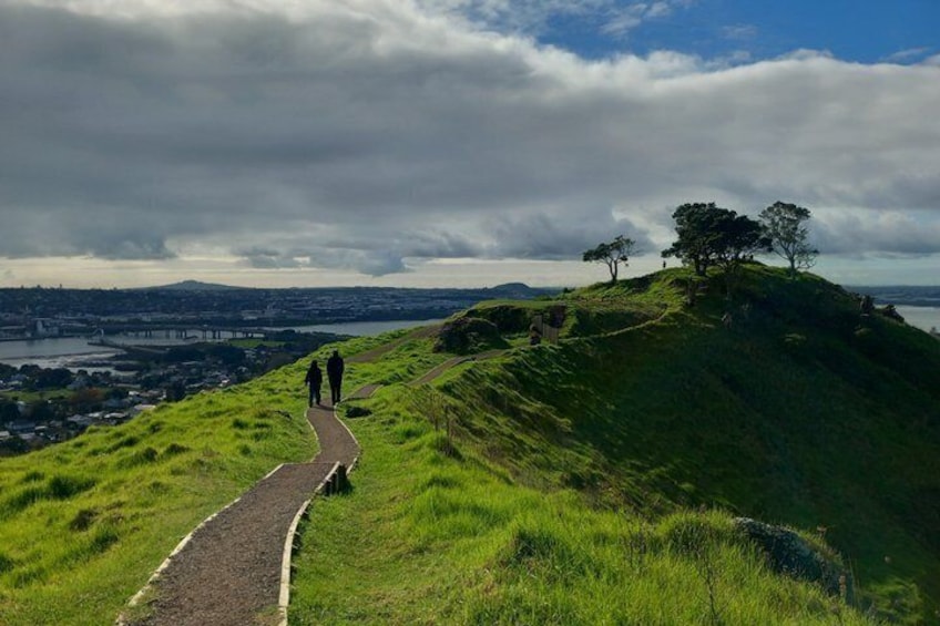 Half-Day Volcano Tour from Auckland 4
