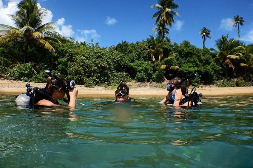 Three people snorkeling in clear water with palm trees and a beach in the background. 2