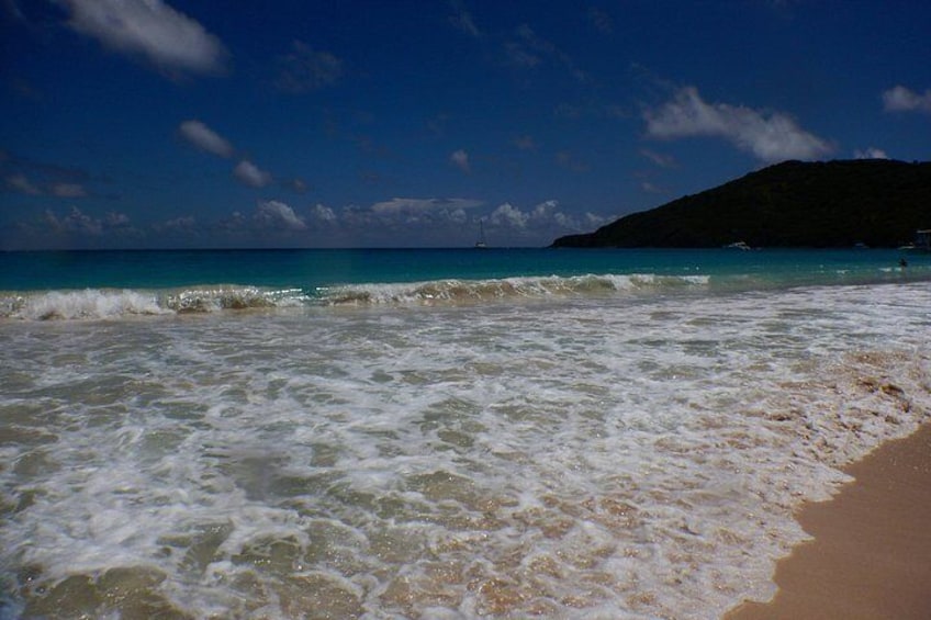 Scuba Dive and Snorkel Private Charter in Puerto Rico 3