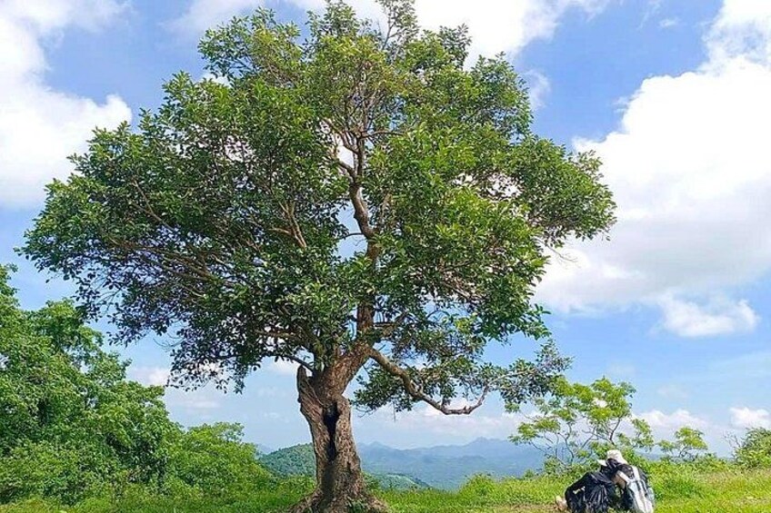 Nasugbu 3 peaks Day hike From manila 2