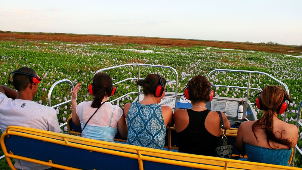 A group of people on a boat tour through a field of water lilies. 2
