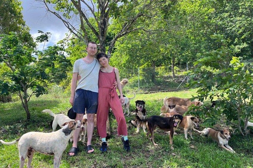 A group of people and dogs in a grassy outdoor area with trees and a fence. 1