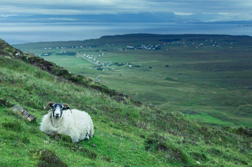 Private Tour of Loch Ness, Glencoe and Highlands from Glasgow 3