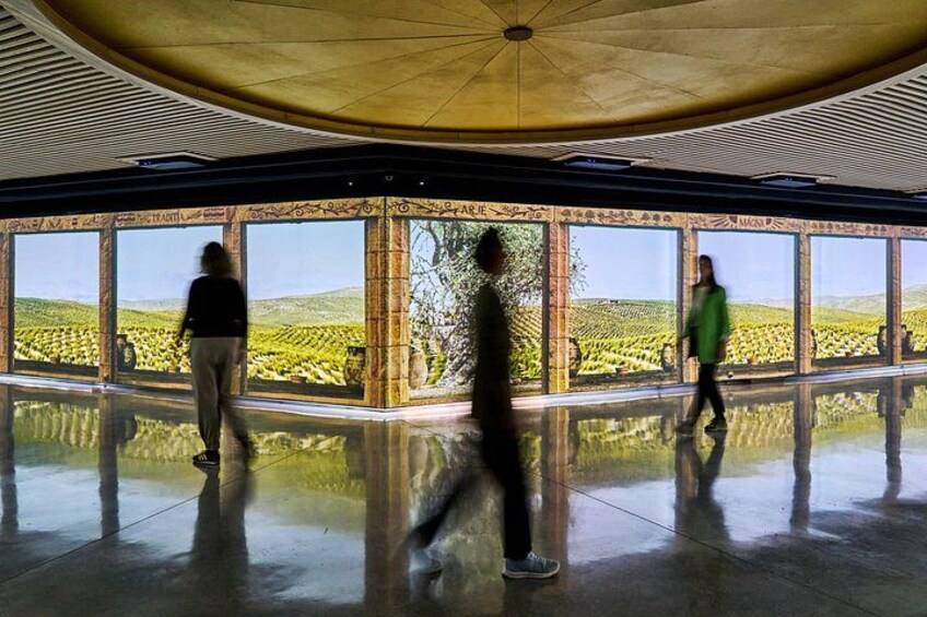 A spacious indoor area with large windows reflecting a vineyard landscape. 5