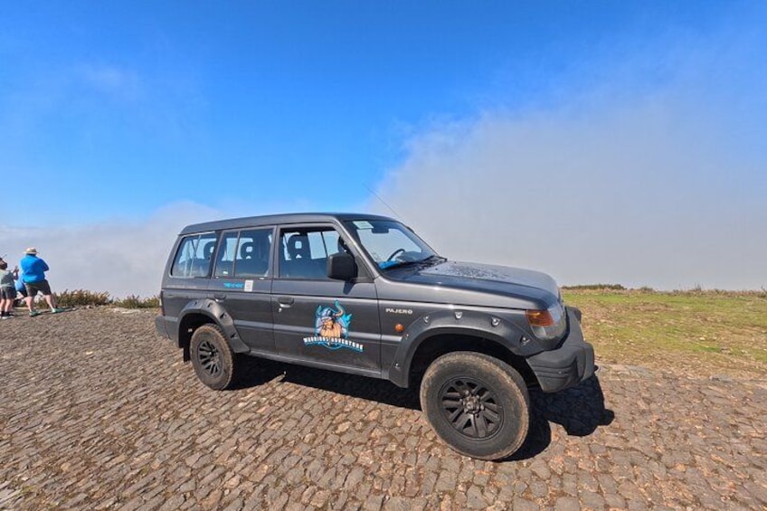 A gray SUV with a logo on the side parked on a cobblestone surface. 2