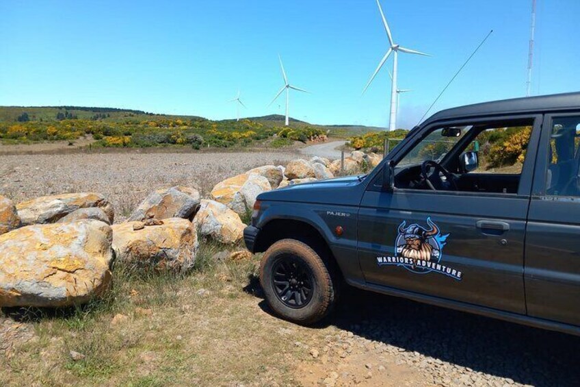 Madeira 4x4 Jeep Safari : Porto Moniz, Lava Pools & Fanal Forest 4