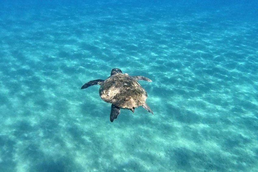 3 Hours Marathonissi Island Tour, Keri Caves and Turtles Spotting 3