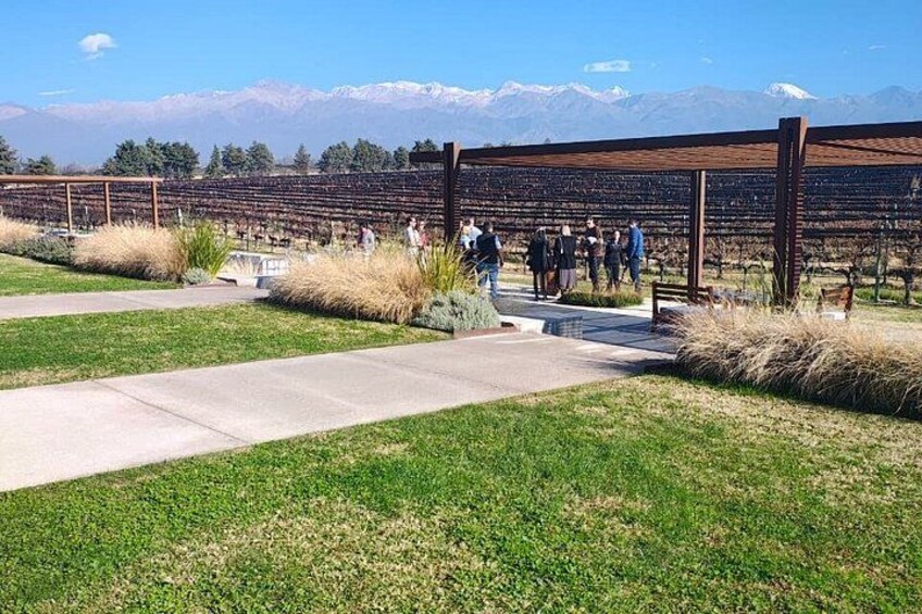 A vineyard with rows of grapevines, a walking path, and a group of people. 2