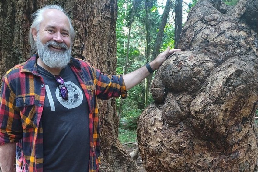 Un uomo in piedi accanto a un grande albero dal tronco rugoso. 2