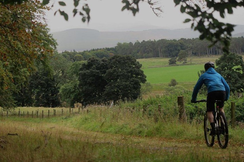 A person riding a bicycle on a rural path with trees and open fields in the background. 4