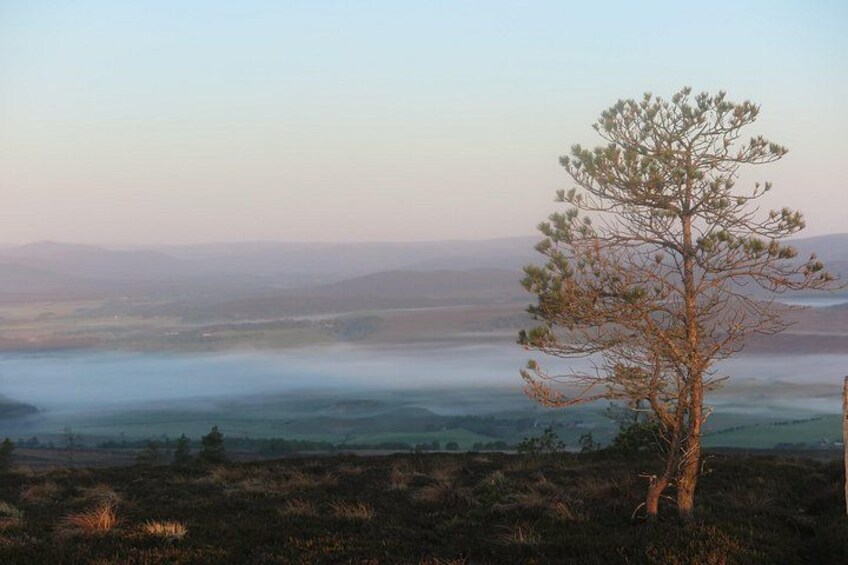 2 Days Private Guided Bikepacking in Cairngorm National Park 4