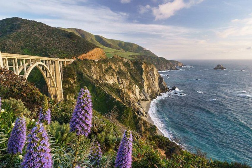 Half Day Private Big Sur Driving Tour in California 1
