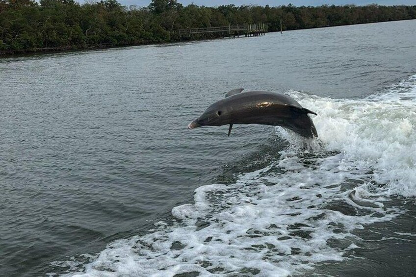 Marco Island Sunset Cruise- Private 2 Hour 4
