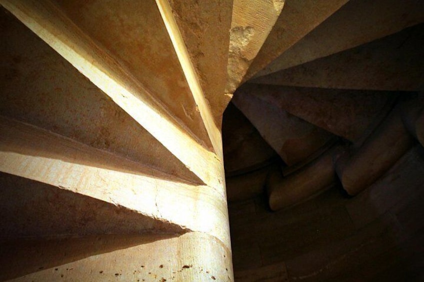 Trani – Castel del Monte: organized tour in 3 hours 2