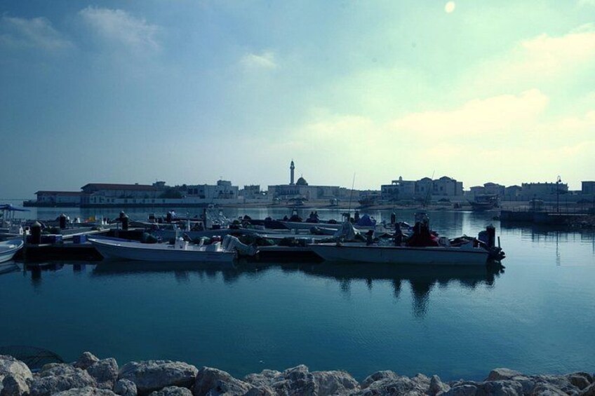 Private North of Qatar Tour 2