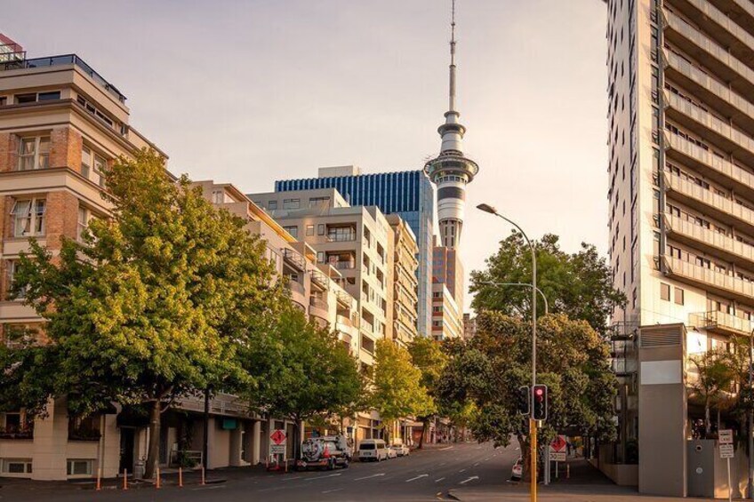 Full Day Private Shore Tour in Auckland from Tauranga Cruise Port