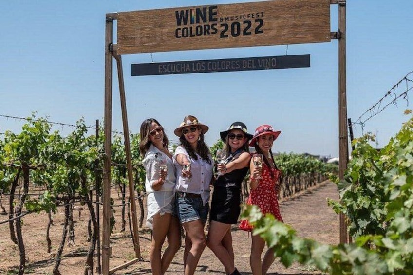 A group of people standing under a sign that reads 'WINE COLORS 2022' in a vineyard. 4
