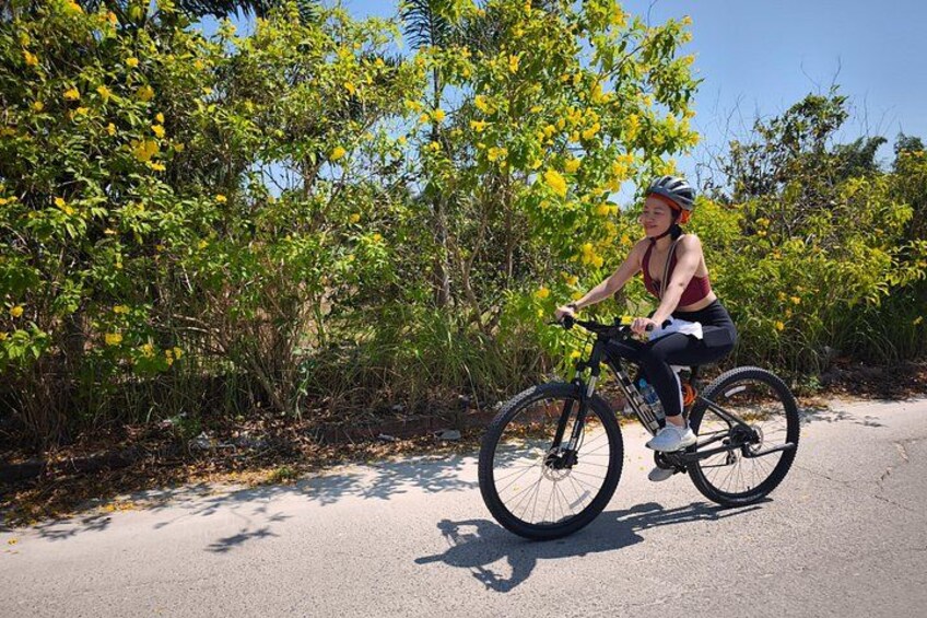 A person riding a bicycle on a paved road with trees and foliage in the background. 2