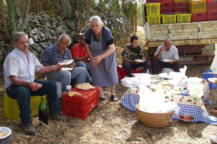 A group of people sitting outdoors with food and drinks on a checkered tablecloth. 2