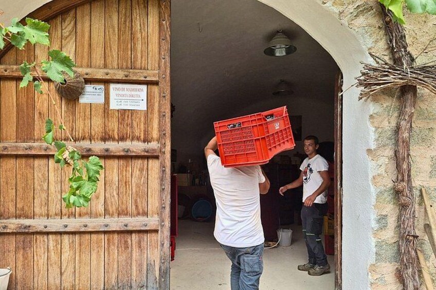 A person carrying a red crate through a wooden door with a sign above it. 5