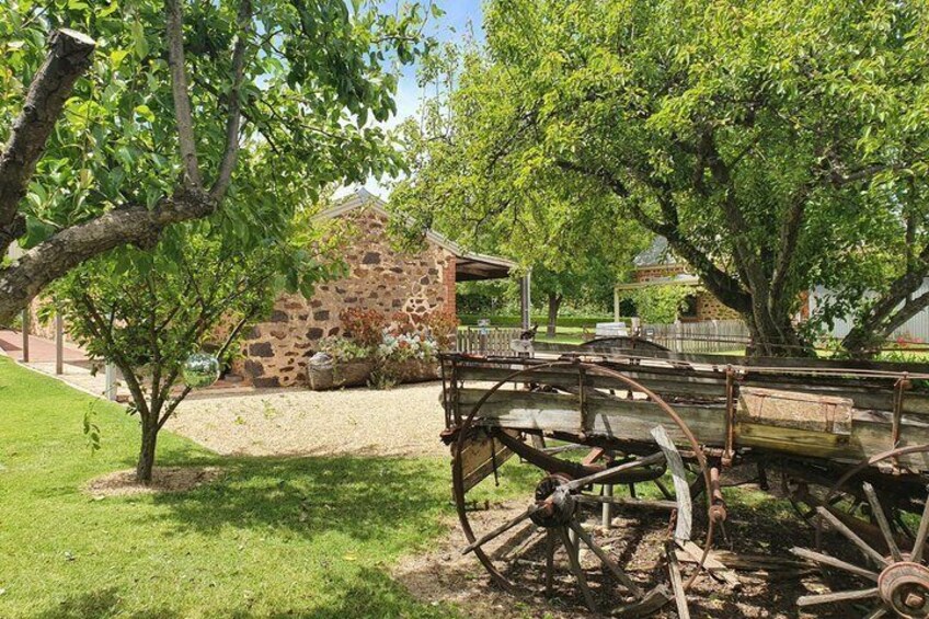 Barossa Valley Shared Tour with Wine Tasting and Lunch 3