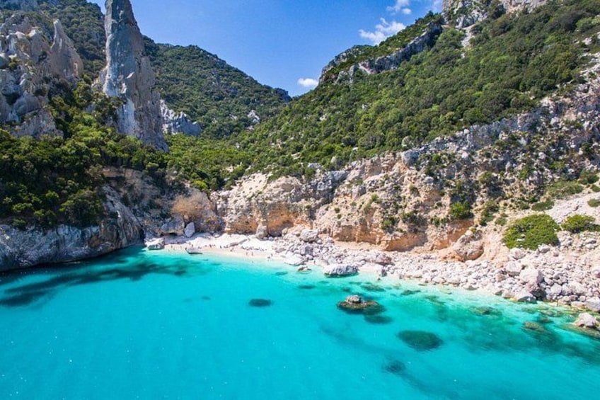 A turquoise coastal area with rocky cliffs and dense green vegetation. 5