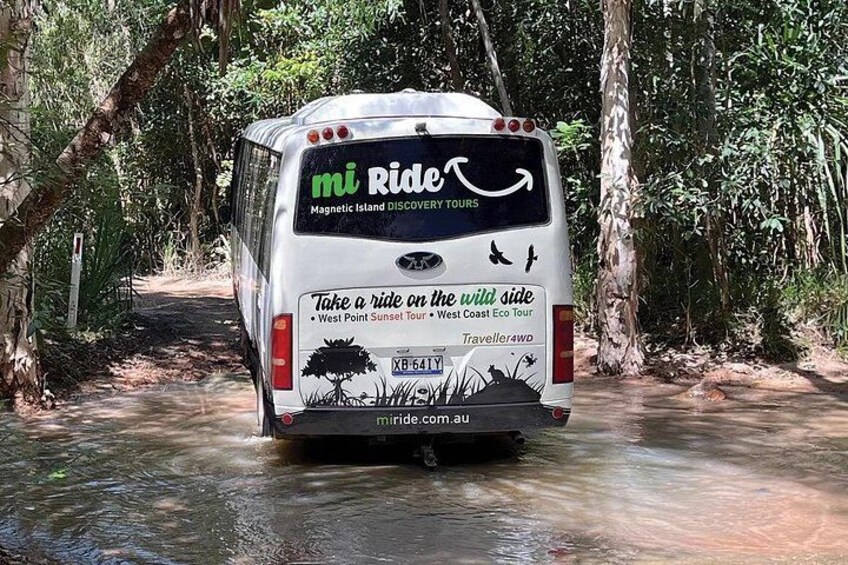 Take a Ride on the Wild Side 2