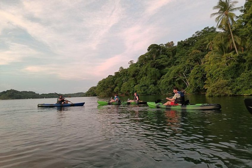 Tres kayaks sobre aguas tranquilas, con densa vegetación verde en la orilla. 1
