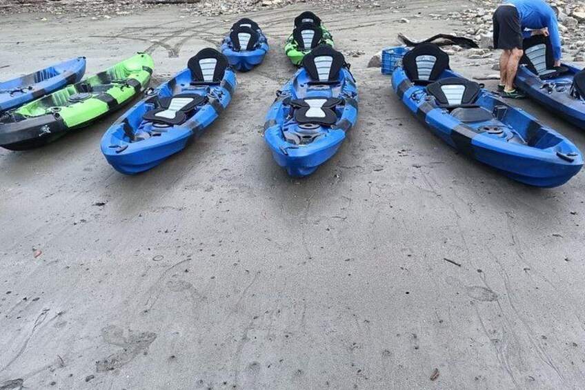Varias kayaks alineadas en una playa arenosa. 4