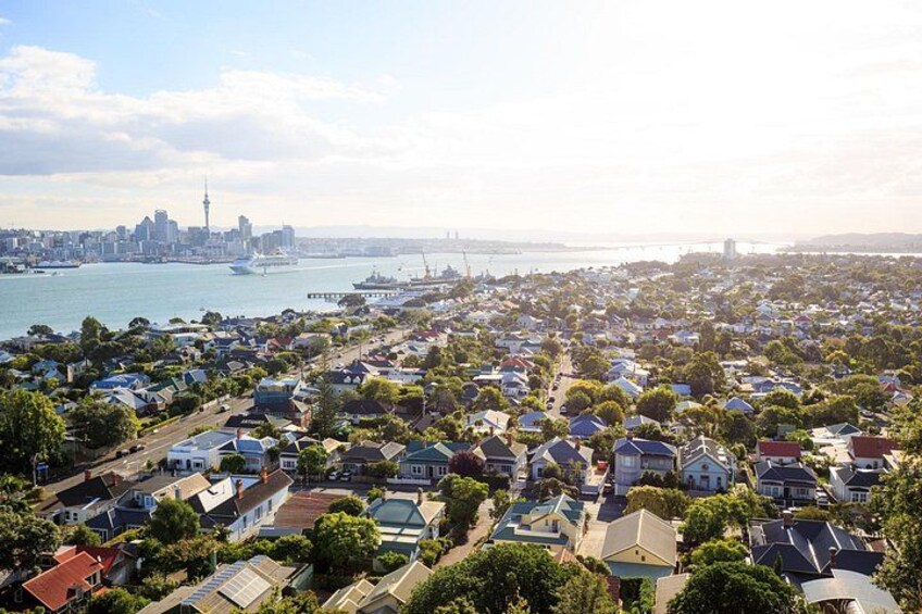 Full Day Private Shore Tour in Auckland from Bay Of Islands Port 3