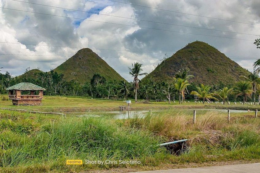 BOHOL Tour 2026 - Chocolate Hills, Tarsier and River Cruise Lunch 2