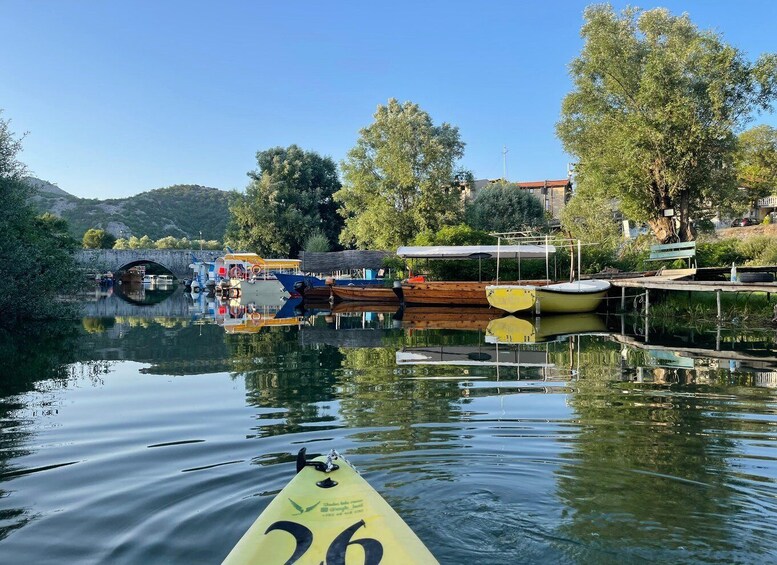 Picture 19 for Activity Skadar Lake: Self-Guided Bird Tour & Kayak Rental 5