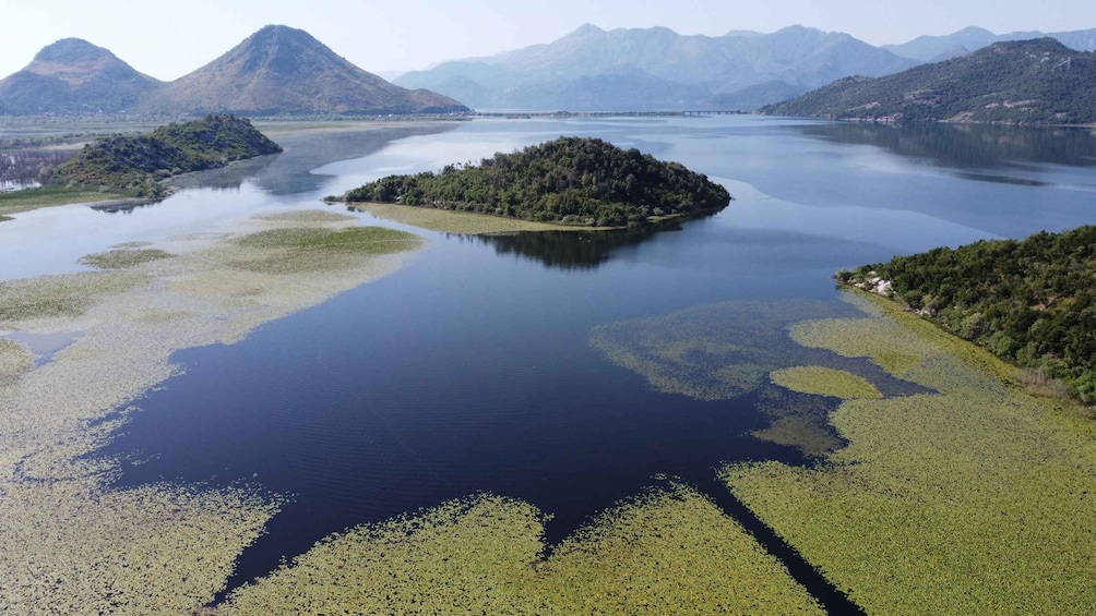 Picture 13 for Activity Skadar Lake: Self-Guided Bird Tour & Kayak Rental 3