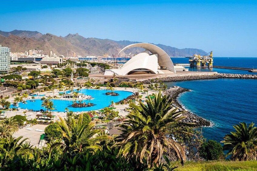 Full Day Private Shore Tour in Tenerife from Santa Cruz Port 5
