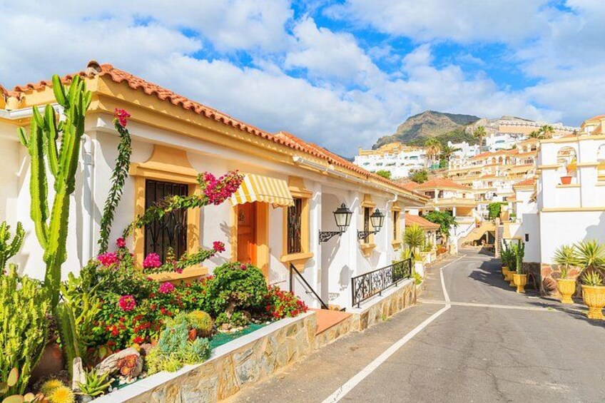 Full Day Private Shore Tour in Tenerife from Santa Cruz Port 3