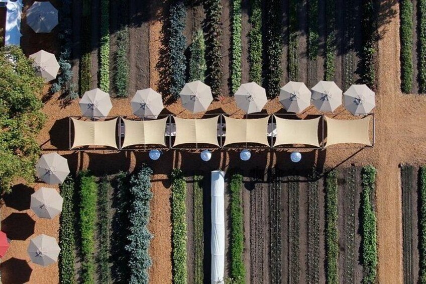 Private Napa Wine Tour Up To 4 Guests 3