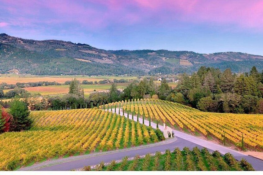 Private Napa Wine Tour Up To 4 Guests 1