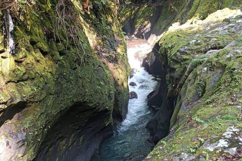 A narrow canyon with a flowing river, moss-covered rocks, and dense vegetation. 4