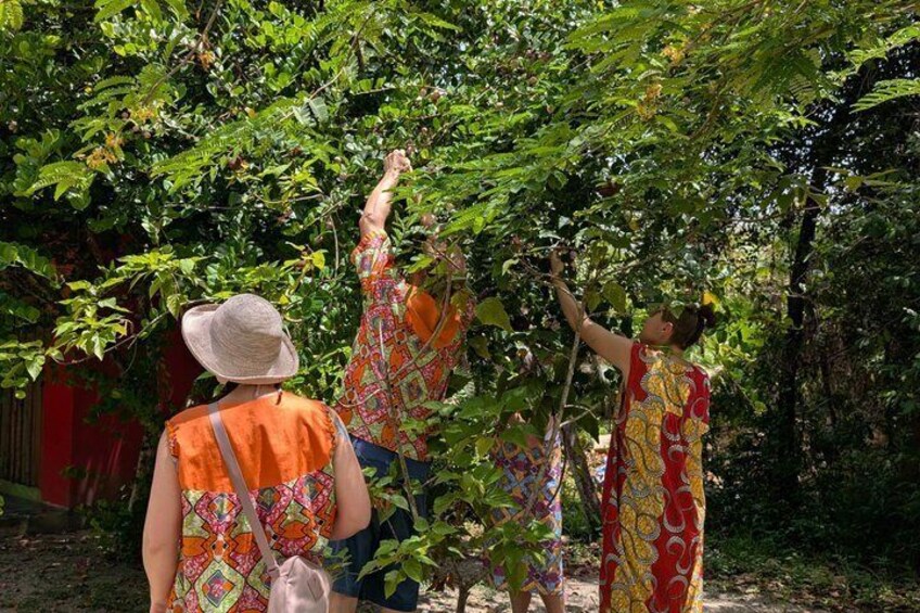 Garifuna Cultural and Culinary Experience in Hopkins Belize 5