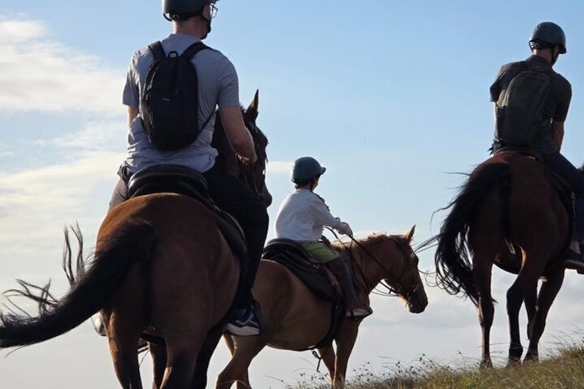 Three people riding horses on a grassy field with a clear sky. 1