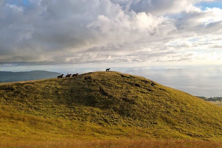 Learn to Ride on Easter Island - Private Horseback Experience 3