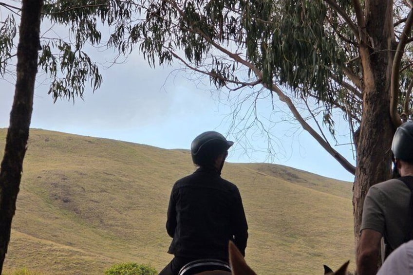 A person riding a horse on a grassy hill. 4