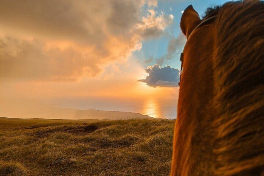  Horseback Riding on Easter Island to Mount Terevaka at Sunset