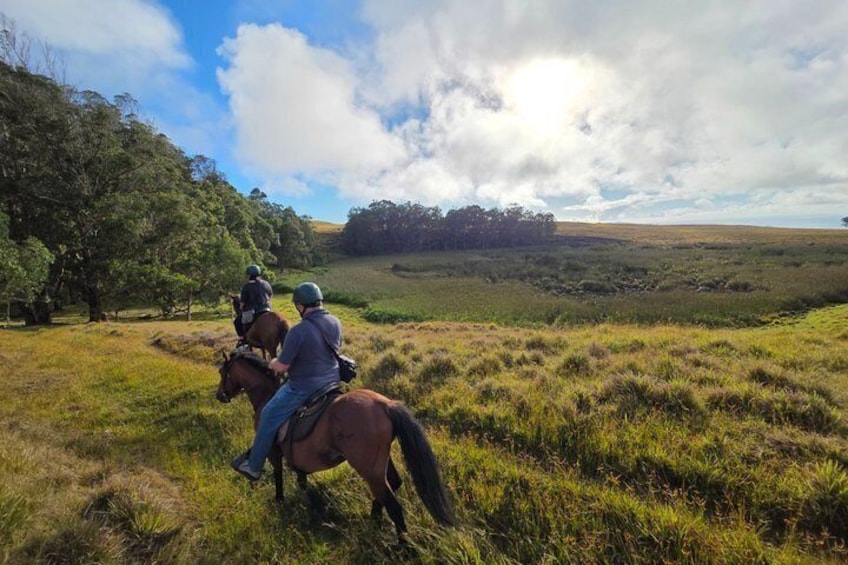 Two people horseback riding in a grassy field with trees and a cloudy sky. 5