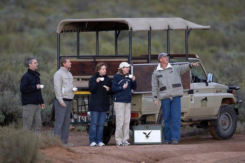 Cape Town Day Safari – Aquila Game Reserve with Lunch & Park Fees 2