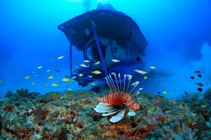 Mauritius Unique Submarine Tour 3